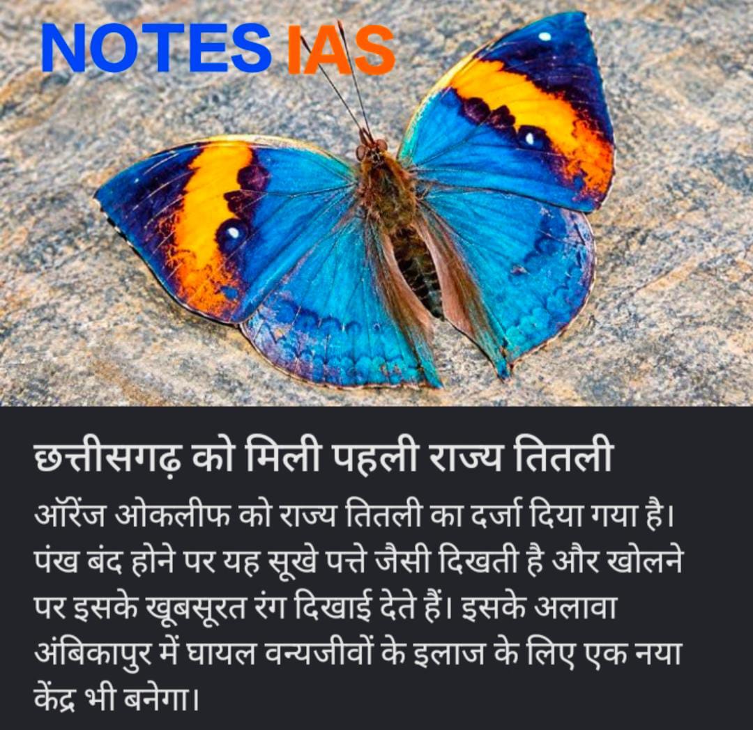 व्याख्याता हिन्दी